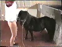 [ Beastiality Sex Video ] A Woman sucks and takes fuck of a Horse
